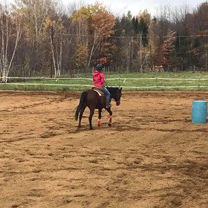 Meet your Posher, Joannie